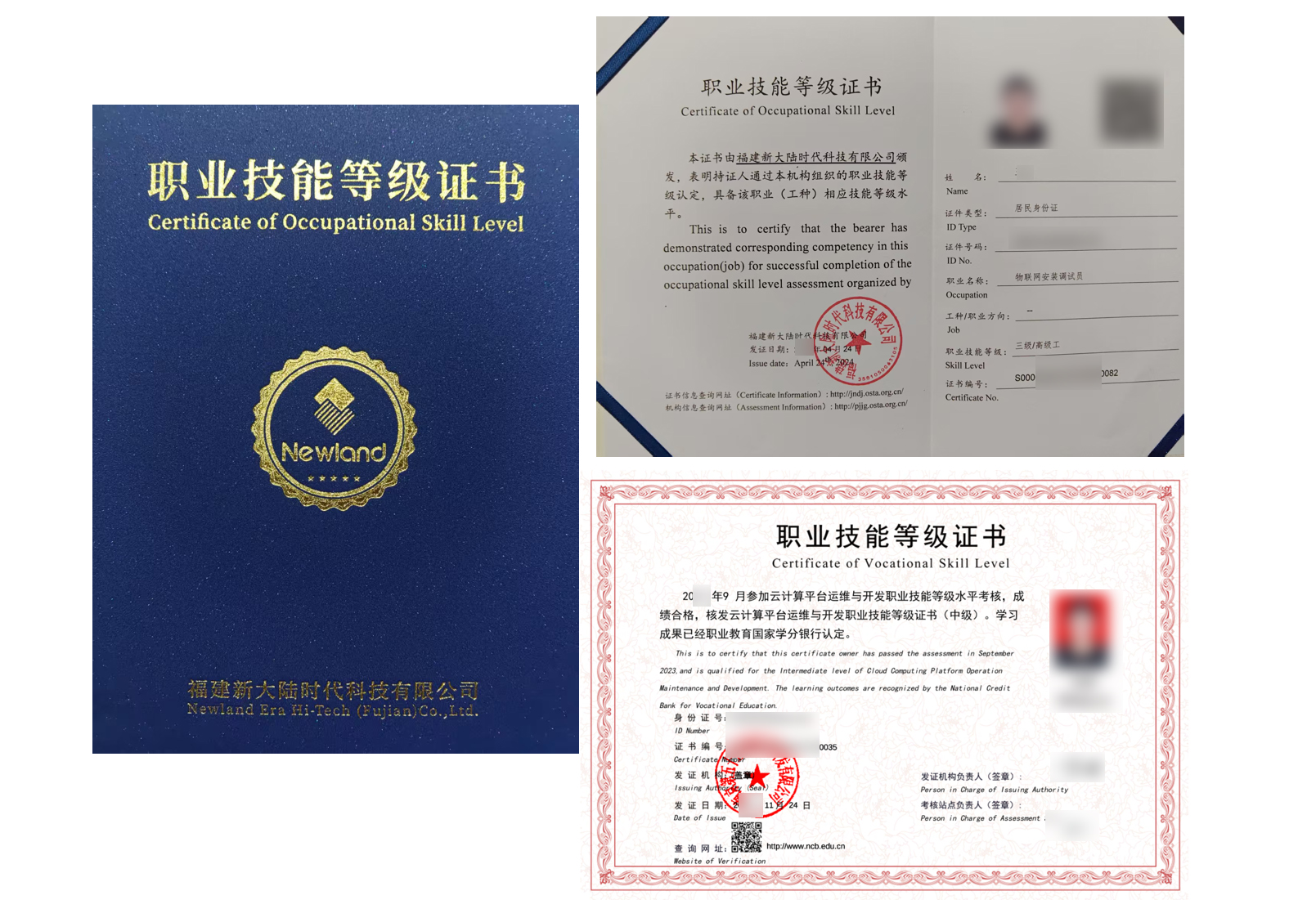 王乐